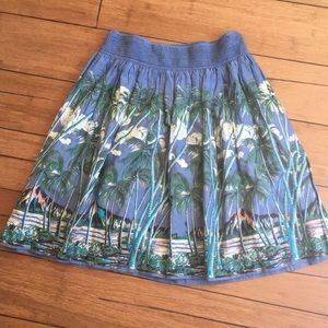 Vanessa Virginia Anthropologie skirt. Size 2